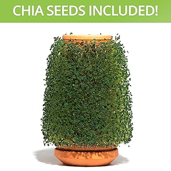 tevaplanter Hydroponic Indoor Planter - Innovative Ceramic